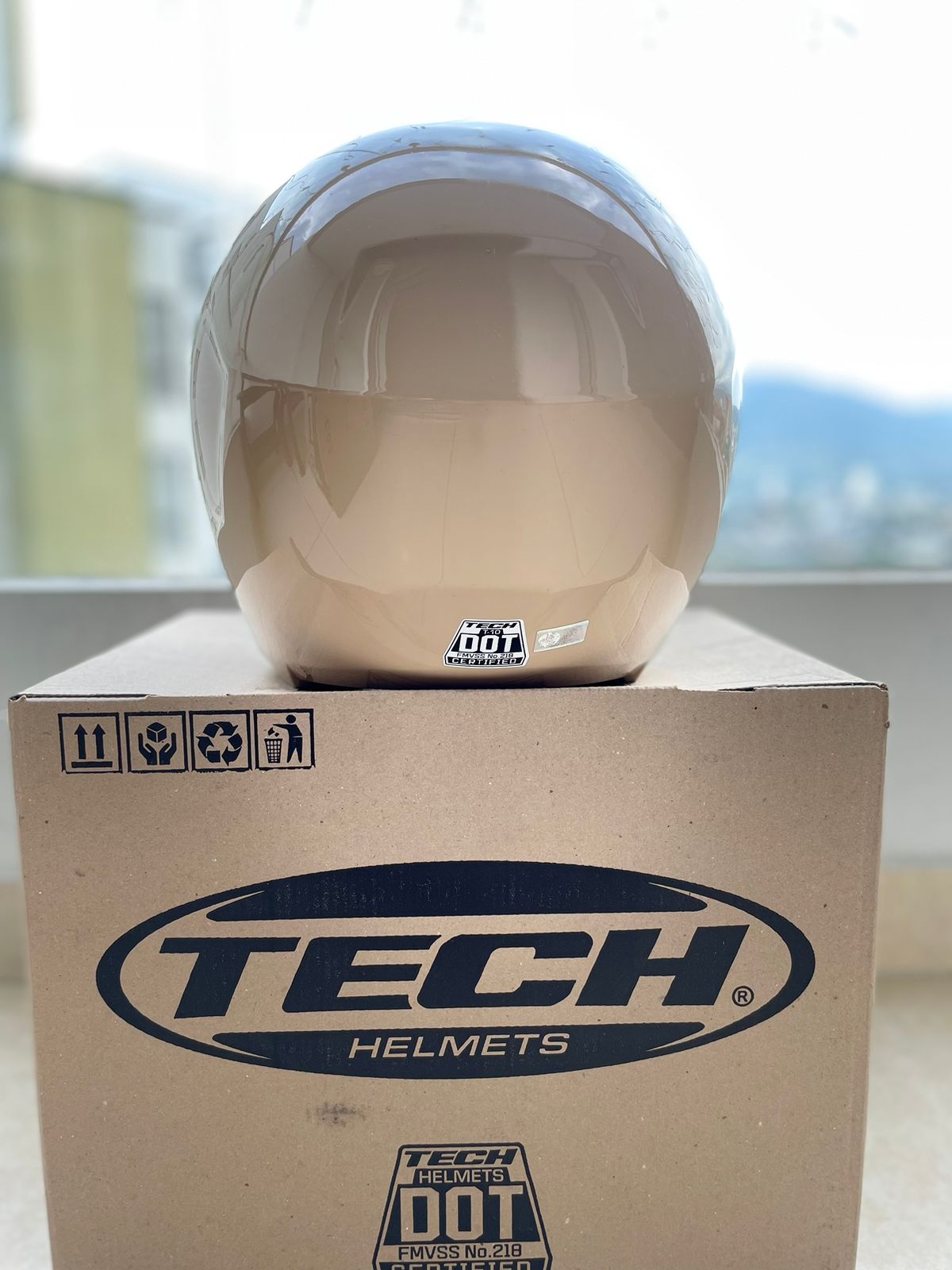 CASCO TECH ARENA VISERA NEGRA